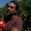No pomar do Nuno foram roubadas 20 toneladas de laranjas