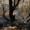 <![CDATA[ Há mais regressos a casa, mas o fogo ainda dita regras em Espanha ]]>