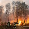 <![CDATA[ Cerca de 3 mil portugueses e lusodescendentes transferidos para centros de acolhimento em França devido a incêndio ]]>