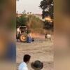 <![CDATA[ Vídeo mostra touro à solta durante festas da Benção do Gado em Torres Novas. Animal feriu quatro pessoas ]]>