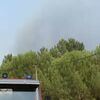 <![CDATA[ Mais de 200 operacionais e quatro meios aéreos combatem fogo em Almeirim ]]>