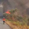 <![CDATA[ Incêndio em Bragança em fase de resolução ]]>