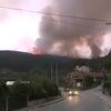 <![CDATA[ Incêndio destrói canil e mata animais em Penafiel ]]>