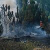 <![CDATA[ Incêndio nas Caldas da Rainha entra em resolução após mobilizar forte dispositivo de combate ]]>