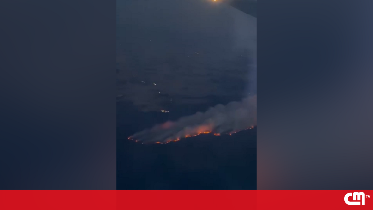 <![CDATA[ Imagens aéreas mostram dimensão do incêndio na floresta francesa de Fontainebleau ]]>