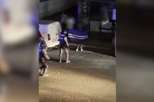 Carga policial interrompe festejos de adeptos de Cabo Verde em Agualva-Cacém