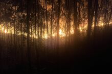 Fogo continua a fustigar o País. Acompanhe ao minuto os desenvolvimentos dos incêndios