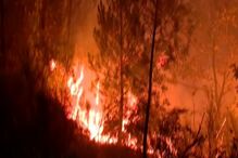 Dominado fogo no Sabugal que mobilizou onze meios aéreos e mais de 300 operacionais