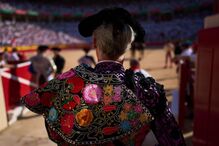 Forcado em luta de touros nas festas de San Fermín, Espanha