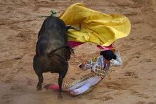 Luta de touros nas festas de San Fermín, Espanha