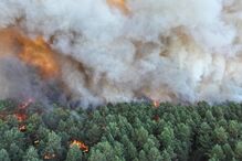 Incêndio na floresta de Fontainebleau nos arredores de Paris obriga a evacuações