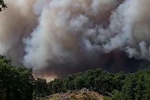 Incêndio na floresta de Fontainebleau nos arredores de Paris obriga a evacuações