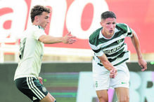 Leão de esperança com caras novas