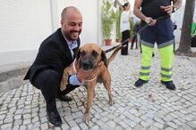Provedor dos Animais de Lisboa, Pedro Paiva, apresenta livro sobre a resiliência animal