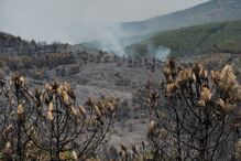 Floresta a norte de Madrid destrói mais de 12 mil hectares devido a incêndio