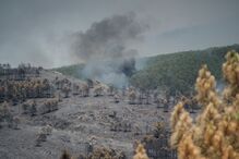 Mais de 12 mil hectares de floresta destruídos pelo fogo a norte de Madrid