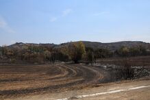 Incêndio a norte de Madrid destrói mais de 12 mil hectares de floresta