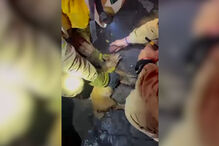 O momento em que bombeiros portugueses resgatam cão em incêndio em Espanha