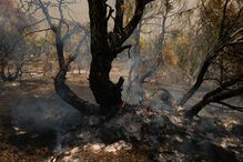 Incêndios em Espanha