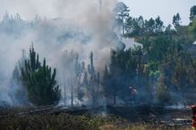 Incêndio nas Caldas da Rainha entrou esta terça-feira em resolução após mobilizar forte dispositivo de combate 