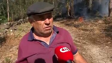 "Cheguei aqui, estava tudo ardido", diz morador. Quando saiu para ver o que se passava, toda a área de mato tinha ardido