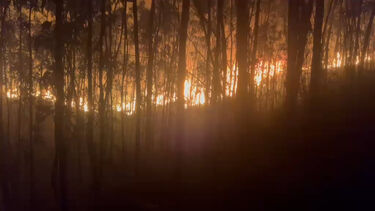 Imagens mostram frente de incêndio que ameaçou casas em Santo Tirso durante a noite