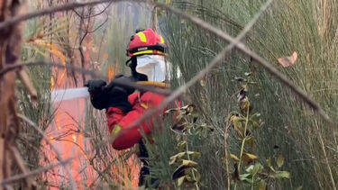 Bombeiros espanhóis reforçam combate aos incêndios no centro de Portugal