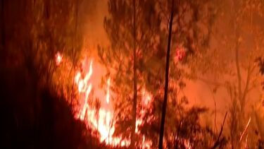 Nove meios aéreos e cerca de 360 operacionais combatem chamas no Sabugal. Fogo próximo de habitações