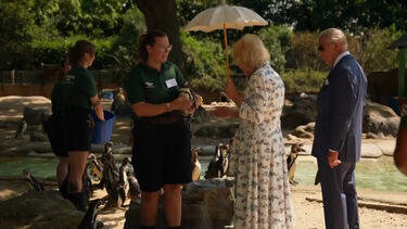 Rei Carlos III e rainha Camila visitam zoo de Londres para assinalar os 200 anos da Sociedade Zoológica