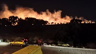 Incêndio que deflagrou em zona de pasto no Montijo consumiu quatro hectares