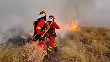 Bombeiros espanhóis continuam combate a incêndio florestal que matou pelo menos 11 pessoas na Andaluzia 