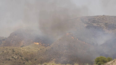 Incêndio continua a lavrar na Andaluzia. Há pelo menos 11 mortos