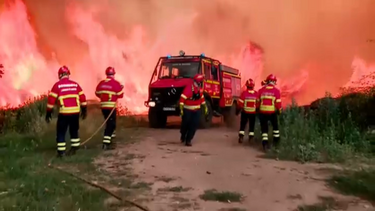 Incêndio que deflagrou em Vouzela deixa rasto de destruição: 15 mil hectares ardidos e milhões em prejuízos