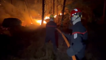 Imagens mostram incêndio que já consumiu 800 hectares na floresta de Fontainebleau em França