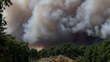 Imagens mostram enorme nuvem de fumo provocada por incêndio em Fontainebleau nos arredores de Paris