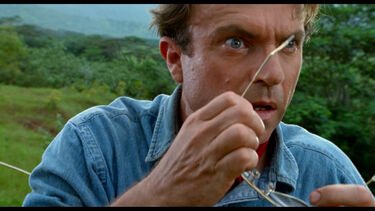 Cinco filmes que marcaram a carreira do ator Sam Neill 