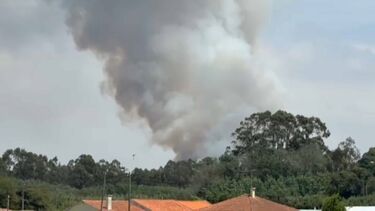 Chamas ardem "com intensidade" em zona florestal de Ovar