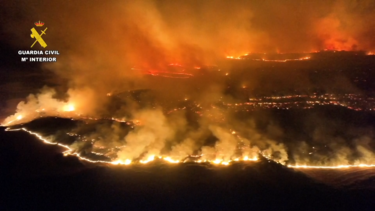 Incêndio fora de controlo: imagens aéreas mostram rastro de destruição em Saragoça 