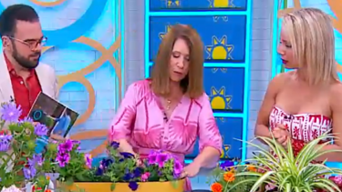 O guia prático de Teresa Chambel para decorar espaços exteriores com plantas