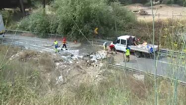 Camião com material de construção civil despista-se e cai de viaduto no IC1
