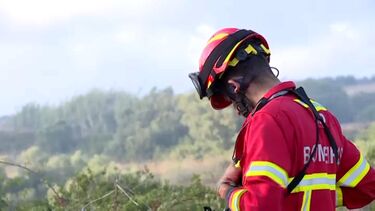 Incêndio que mobilizou sete meios aéreos em Mafra entra em fase de conclusão