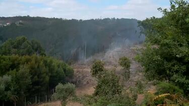 Dominado fogo em Gondomar que mobilizou mais de 100 operacionais