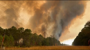 Incêndio florestal obriga à retirada de 20 mil pessoas na costa atlântica de França