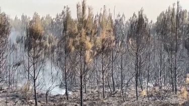 Incêndio florestal obriga à retirada de 20 mil pessoas em França