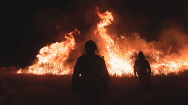 Incêndios em Espanha obrigam à retirada de 60 mil pessoas e mobilizam centenas de bombeiros