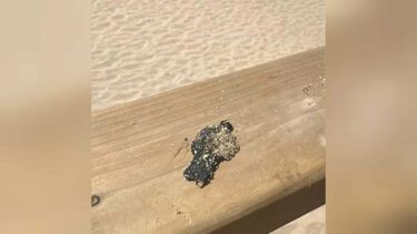 Câmara de Sintra alerta para “partículas inorgânicas" avistadas em praias de Sintra, Torres Vedras, Mafra e Cascais  