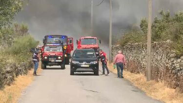 Chamas obrigam a interromper linha ferroviária da Beira Baixa