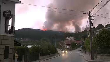 Incêndio destrói canil e mata animais em Penafiel