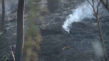 Fogo em Vila Verde combatido por 180 operacionais. Há dois feridos