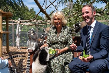 Rodeada de lémures, Rainha Camilla volta a mostrar o seu amor pelos animais